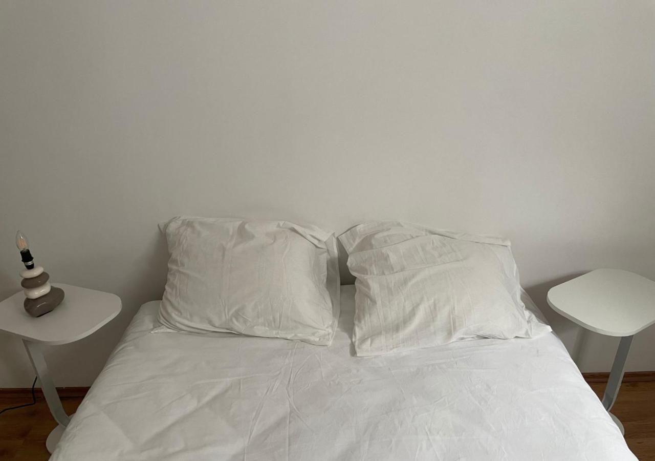 Le Wolf - 1 Chambre Privee Dans Un Appartement - 5Mn Tram Du Centre Ville - 15Mn Tram Gare Tgv Mulhouse - Wifi - Parking Esterno foto