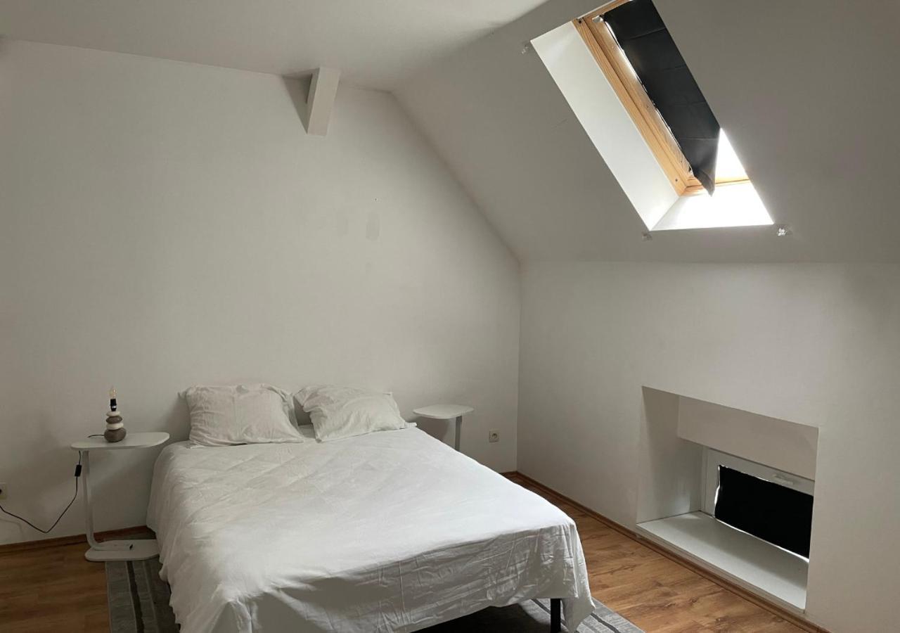 Le Wolf - 1 Chambre Privee Dans Un Appartement - 5Mn Tram Du Centre Ville - 15Mn Tram Gare Tgv Mulhouse - Wifi - Parking Esterno foto